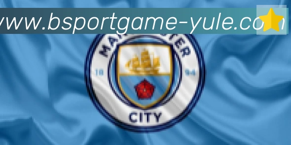 Bsports官网合作伙伴