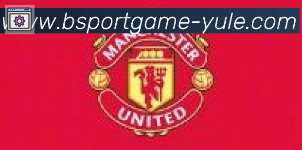 Bsports官网合作伙伴
