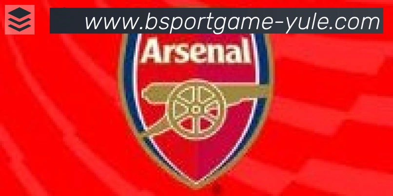 Bsports官网合作伙伴